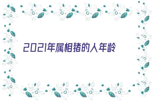 2021年属相猪的人年龄表《2021年属猪的年龄对照表》