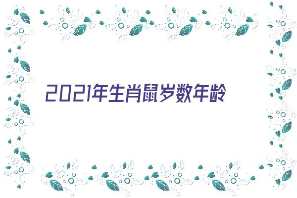 2021年生肖鼠岁数年龄《2021年生肖鼠岁数年龄表》