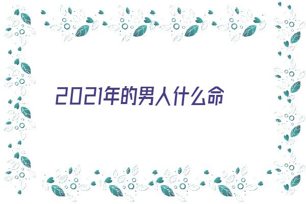 2021年的男人什么命《2021男孩什么命》