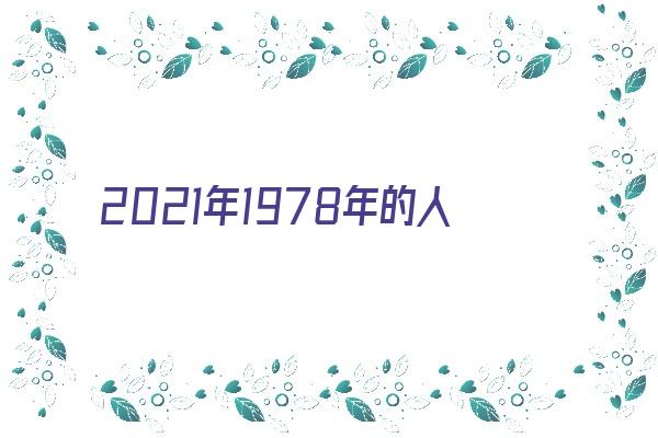 2021年1978年的人运程《1978年2021年的运势》