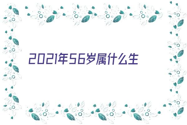 2021年56岁属什么生肖《2021年56岁属什么生肖属相》