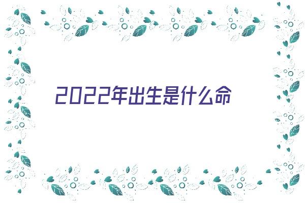 2022年出生是什么命《2022年出生是什么命五行属什么》