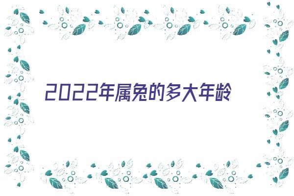 2022年属兔的多大年龄《2022年属兔的多大年龄了啊》