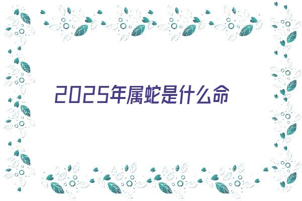 2025年属蛇是什么命