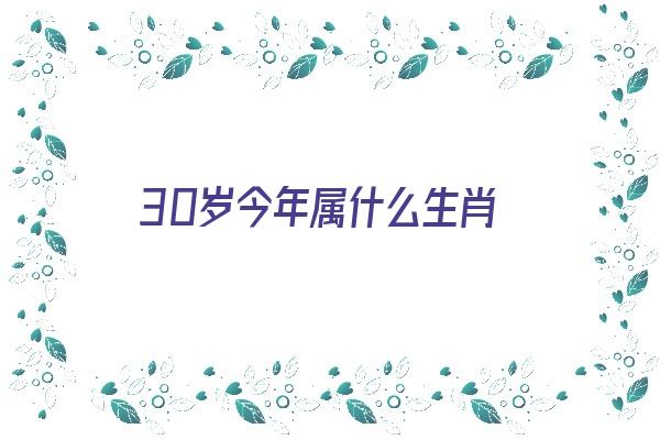 30岁今年属什么生肖《30岁今年属什么生肖的2024》