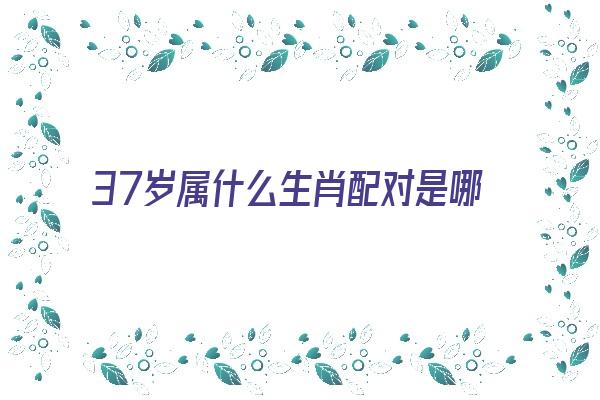 37岁属什么生肖配对是哪个《37岁属什么生肖和婚配》