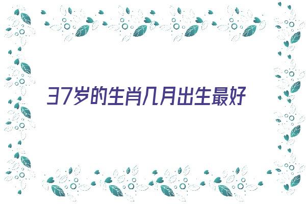 37岁的生肖几月出生最好《37岁的生肖几月出生最好呢》