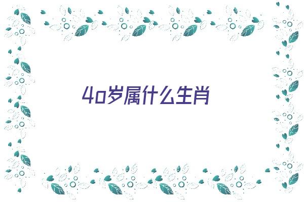 4o岁属什么生肖《1994属狗走大运在哪一年》