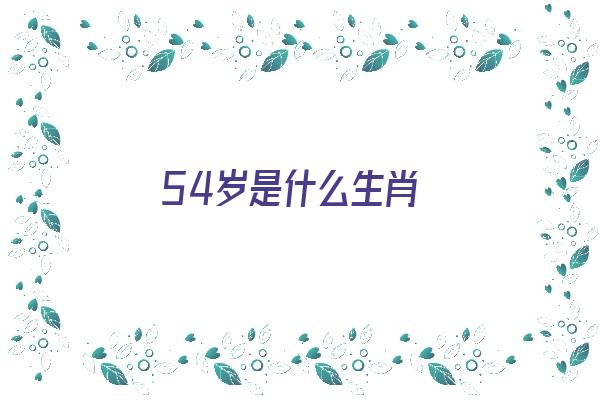 54岁是什么生肖《54岁是什么生肖,属于什么生肖》