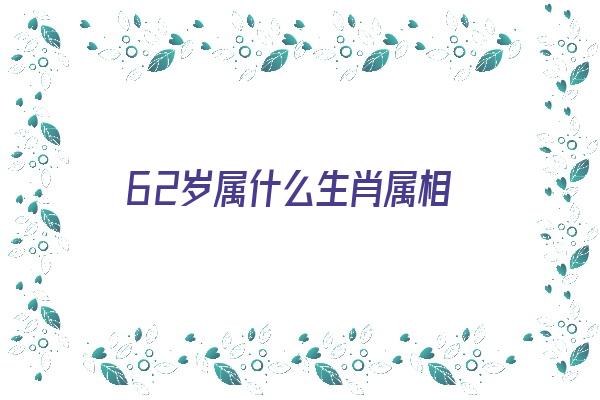 62岁属什么生肖属相《62岁属什么生肖属相是多年的》