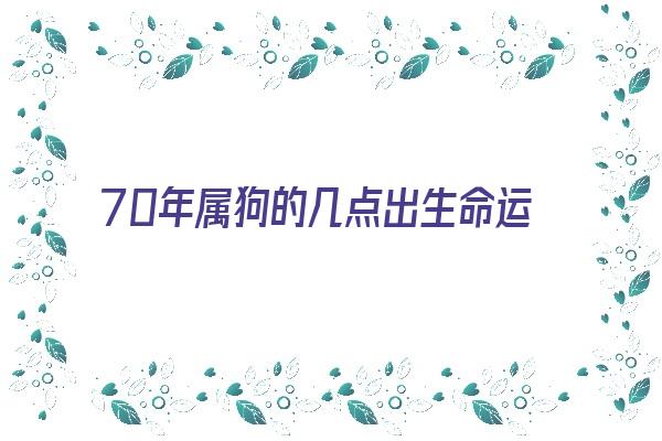 70年属狗的几点出生命运好《70年属狗的几点出生命运好呢》