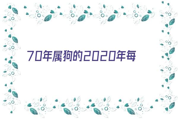 70年属狗的2020年每月运势及运程《70年属狗的2020年每月运势及运程如何》