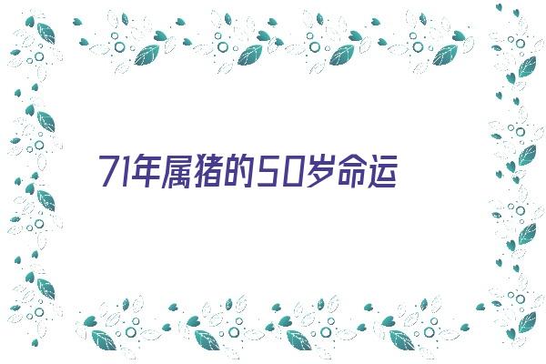  71年属猪的50岁命运《71年属猪的50岁命运如何》 生肖运势