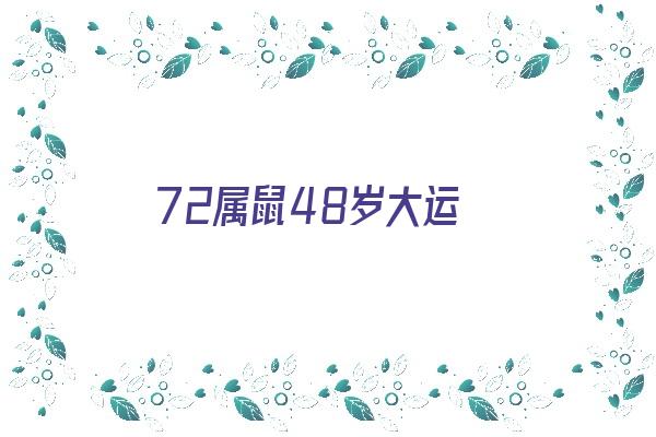 72属鼠48岁大运《72属鼠48岁大运以后运势》