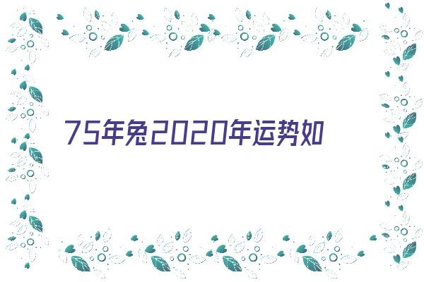 75年兔2020年运势如何