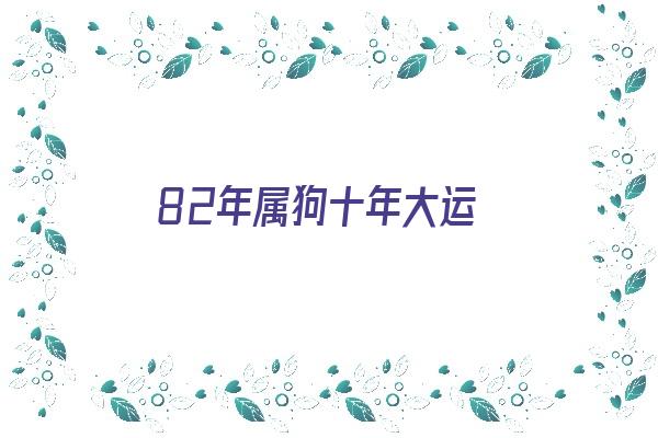 82年属狗十年大运《82年属狗十年大运是什么时候开始的》