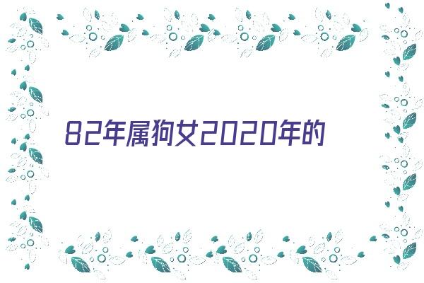 82年属狗女2020年的运势《82年属狗女2020年的运势每月运势》