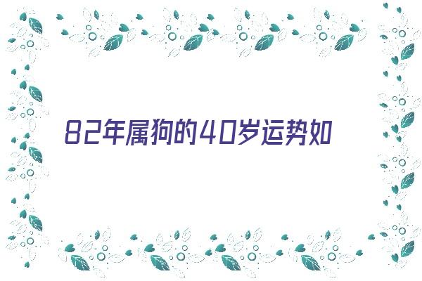 82年属狗的40岁运势如何《82年属狗的40岁运势如何呢》