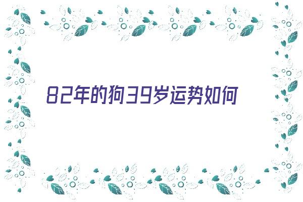 82年的狗39岁运势如何《82年的狗39岁运势如何呢》