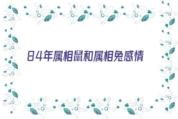 84年属相鼠和属相兔感情《84年属相鼠和属相兔感情如何》