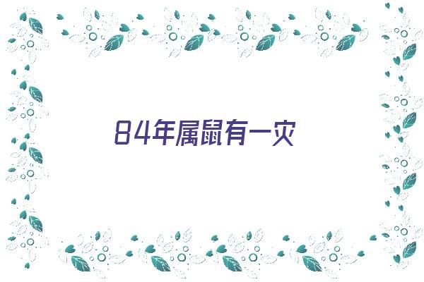 84年属鼠有一灾《84年属鼠有一灾能不能过去》