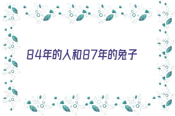 84年的人和87年的兔子合吗《84年的属和87年的兔》