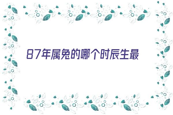 87年属兔的哪个时辰生最好《87年属兔的哪个时辰生最好男孩》