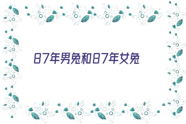 87年男兔和87年女兔《87年男兔和87年女兔婚姻》