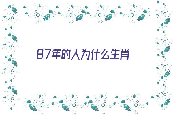 87年的人为什么生肖《87年的人为什么生肖不合》