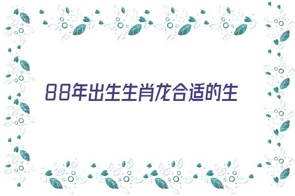  88年出生生肖龙合适的生肖《88年出生生肖龙合适的生肖是什么》 生肖运势