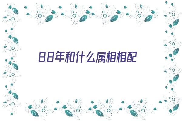 88年和什么属相相配《88年和什么属相相配最好》