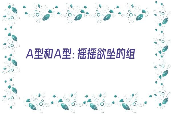 A型和A型：摇摇欲坠的组合《a型和a型:摇摇欲坠的组合是什么》