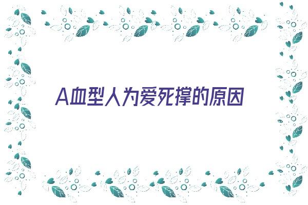 A血型人为爱死撑的原因《a血型人为爱死撑的原因有哪些》