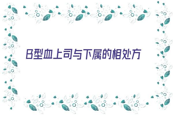 B型血上司与下属的相处方式《b型血领导》