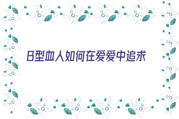 B型血人如何在爱爱中追求快乐《b型血人的爱情》