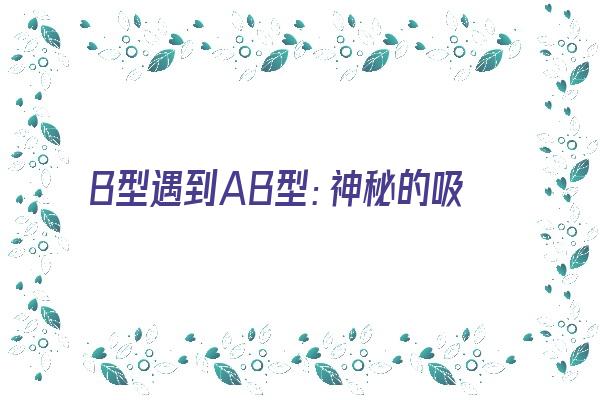 B型遇到AB型：神秘的吸引力《ab型 b型》