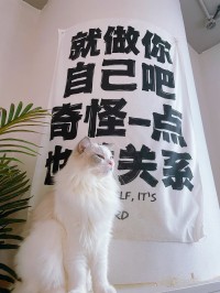 求求你们做个人吧（求求你做个人吧英文怎么说）