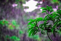 梦见被大雨淋（梦见被大雨淋了）