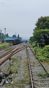 周公解梦梦见吃桃子摘桃子（周公解梦梦见吃桃子摘桃子是啥意思）