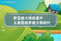 梦见大狗咬住不松口是什么意思（梦见大狗咬住不松口是什么意思周公解梦）