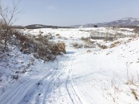 梦到下雪在雪地上走（梦到下雪在雪地上走好不好

）