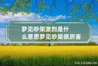 关于梦见和别人吵架

是什么预兆女性解梦的信息