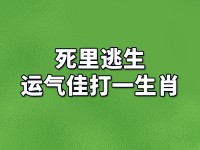 九死一生什么生肖（九死一生什么生肖动物）