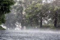 做梦梦见特别

大的狂风
雨（梦到很大的狂风
雨）