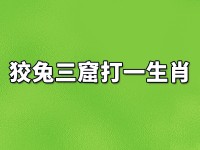 出水芙蓉打一个生肖（出水芙蓉打一生肖最佳答案）