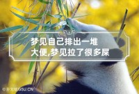 女人梦见本身
拉耙耙地（女人梦见本身
拉粑粑在地上）