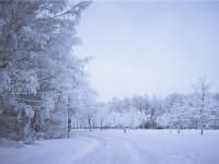 周公解梦梦见下雪（周公解梦梦见下雪是什么征兆）