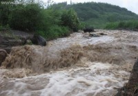 周公解梦大水
（周公解梦大水
逃生乐成
）