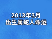 2013年生肖运势（2013年生肖鸡运势）