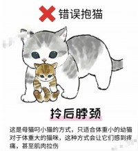 梦见被猫咪咬出血什么意思（梦见被猫咬出血了是什么意思）